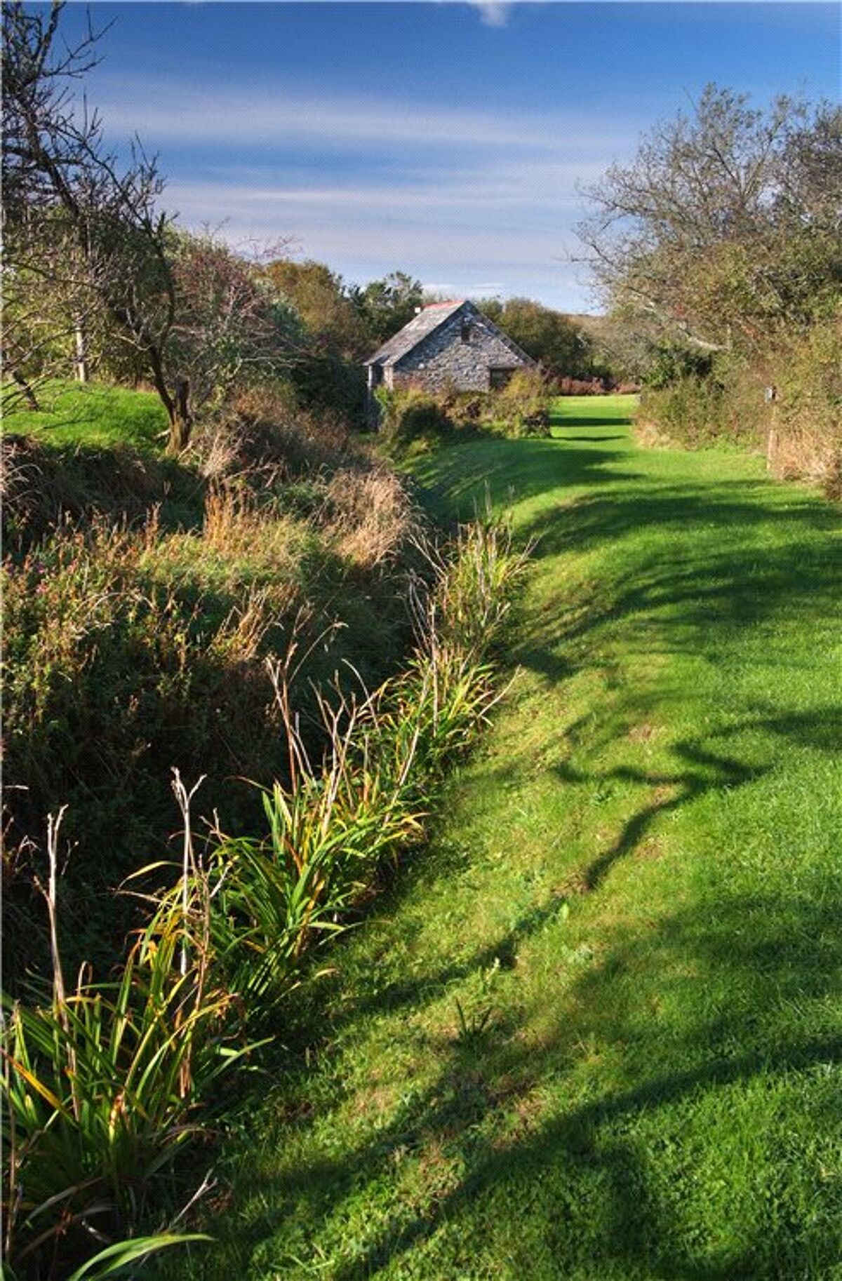 house for sale in Polzeath, Wadebridge, Cornwall EXE110327 Knight Frank