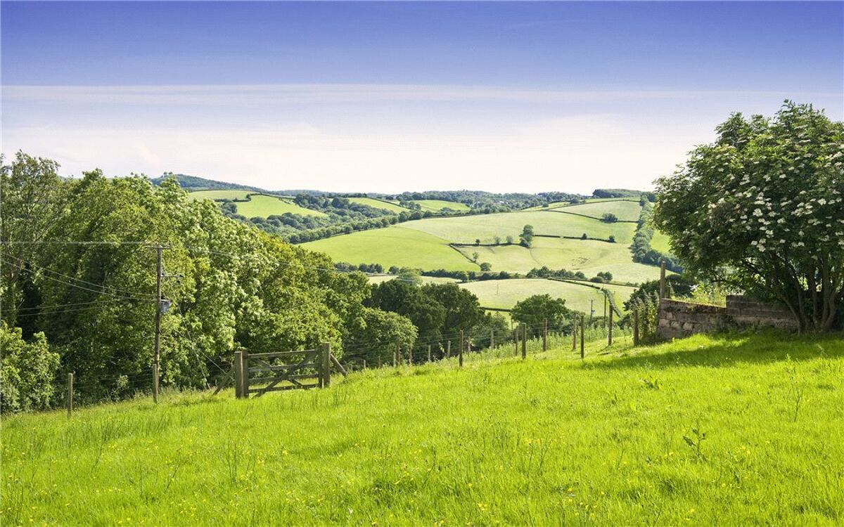 house for sale in Whitestone, Exeter, Devon, EX4 EXE120035 Knight Frank