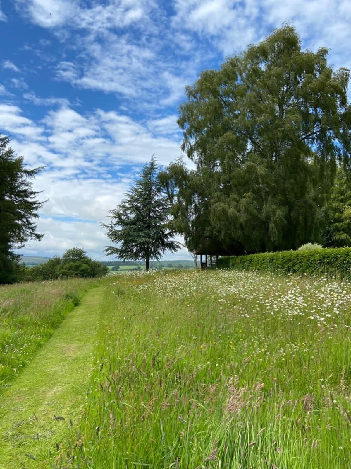 house for sale in Colaton Raleigh, Devon, EX10 EXE130041 Knight Frank