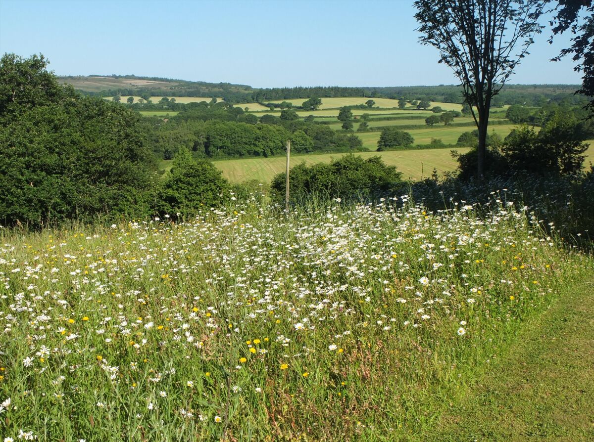 house for sale in Colaton Raleigh, Devon, EX10 EXE130041 Knight Frank