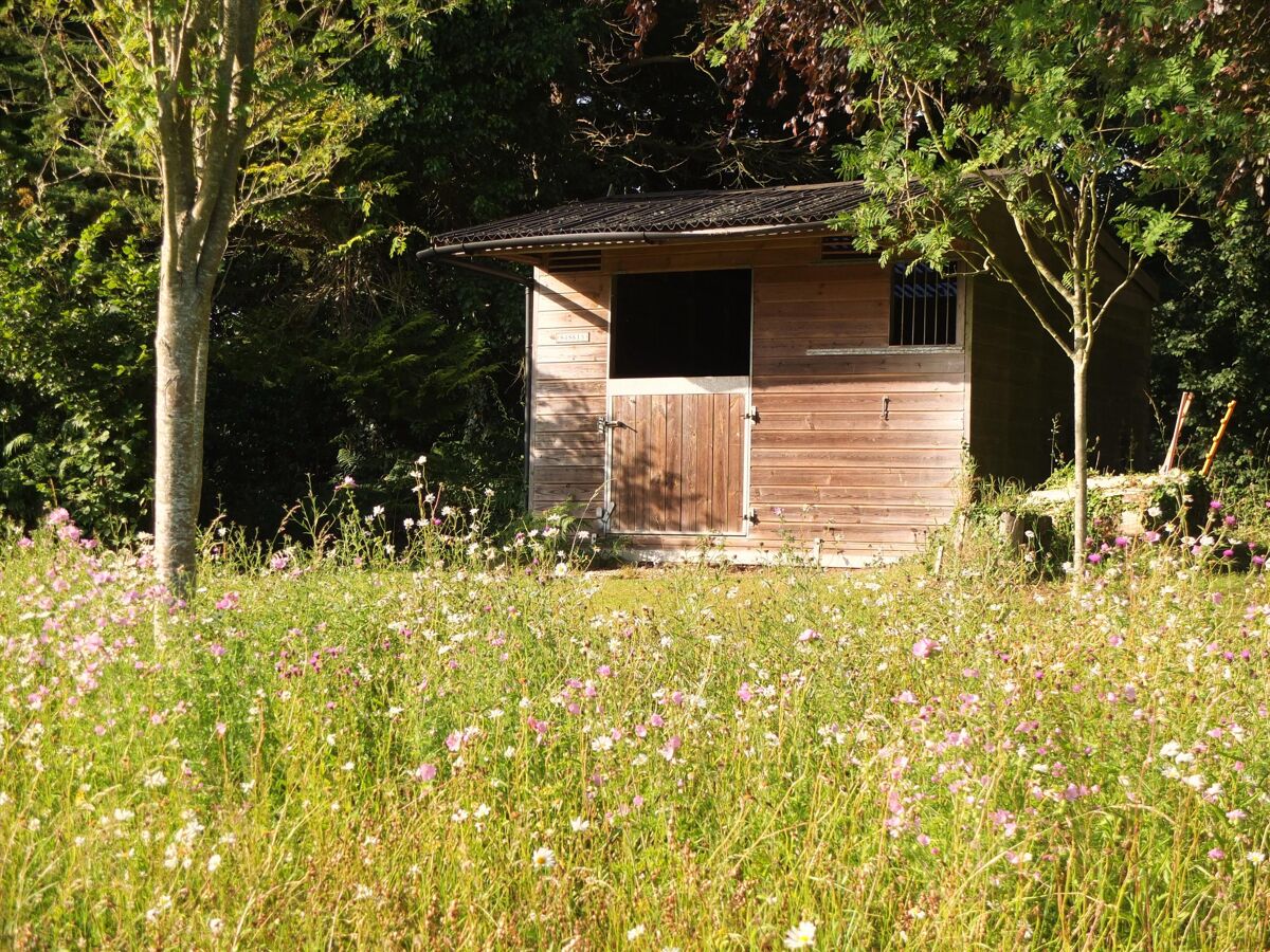 house for sale in Colaton Raleigh, Devon, EX10 EXE130041 Knight Frank