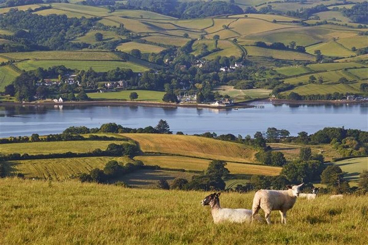 house for sale in Higher Radway Farm, Teignmouth