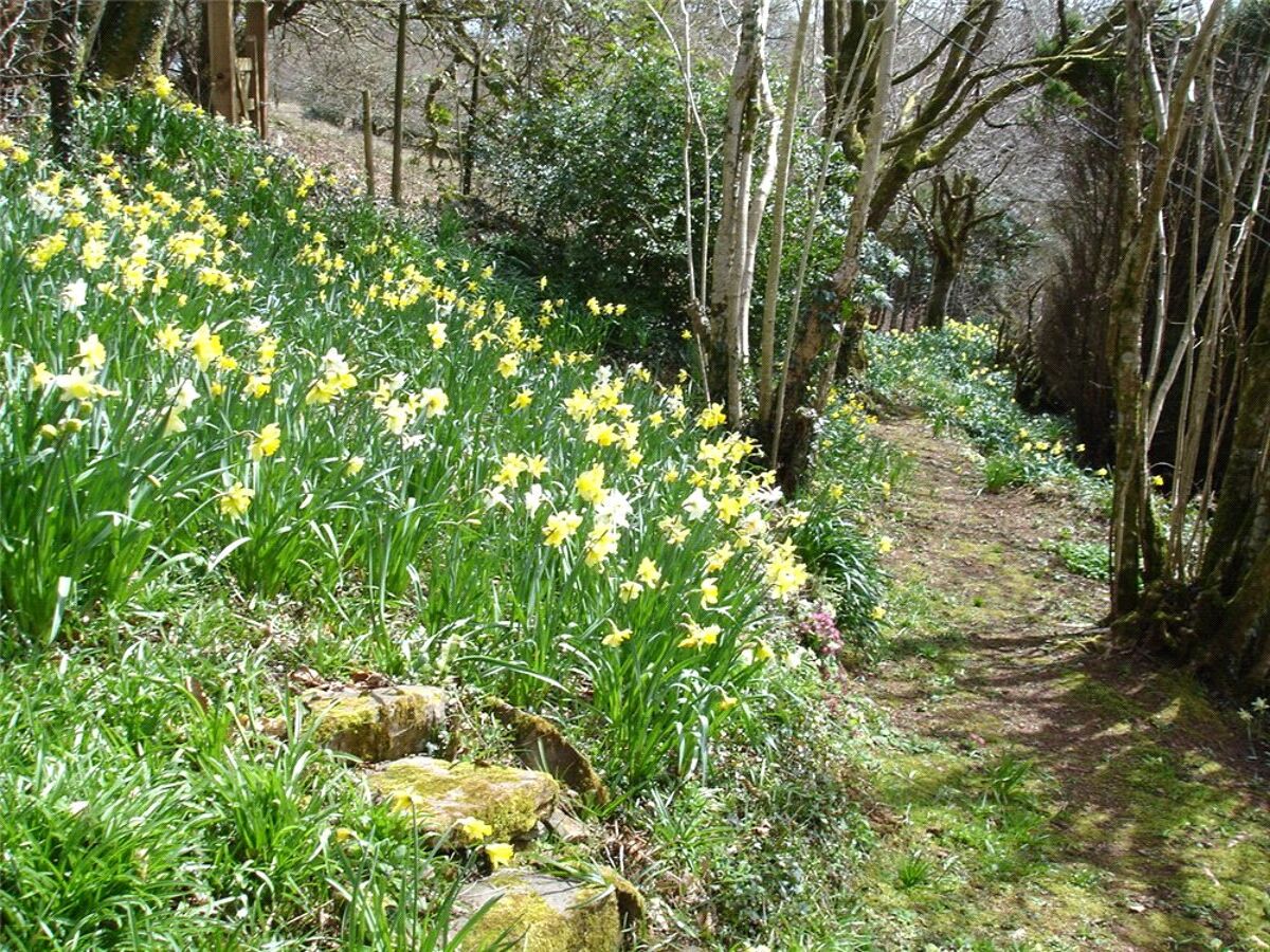 house for sale in Brompton Regis, Somerset, TA22 EXE140467 Knight Frank