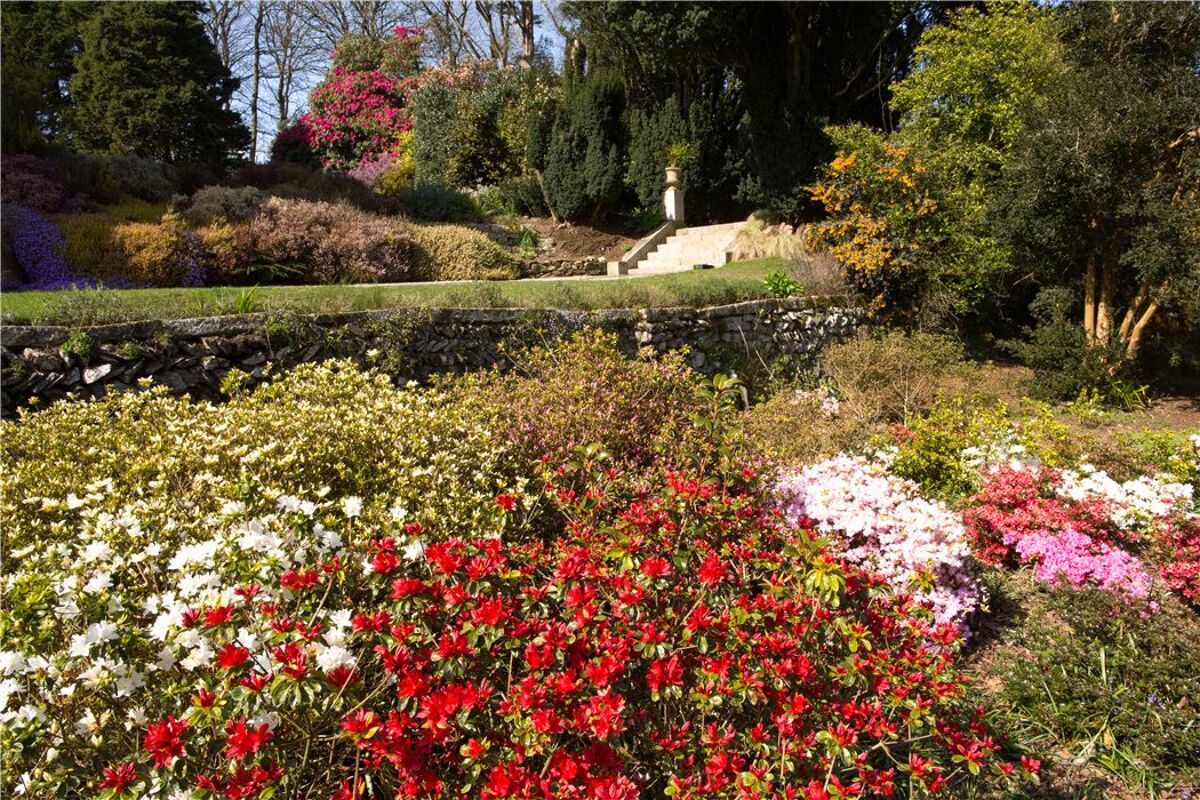 house for sale in St Tudy, Cornwall, PL30 EXE150154 Knight Frank