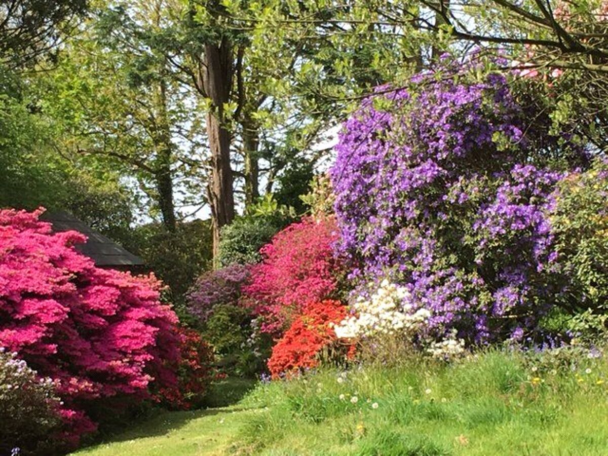 house for sale in St Tudy, Cornwall, PL30 EXE150154 Knight Frank