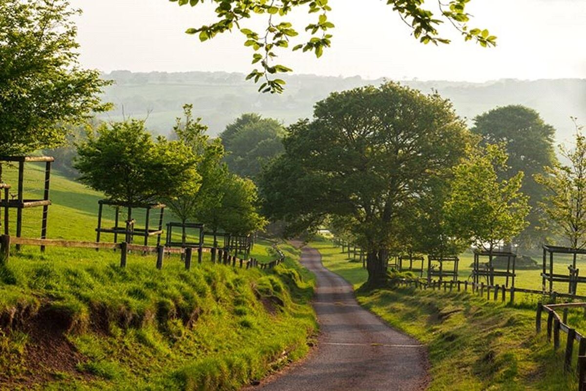 house for sale in Stoodleigh, Tiverton, Devon, EX16 EXE160150