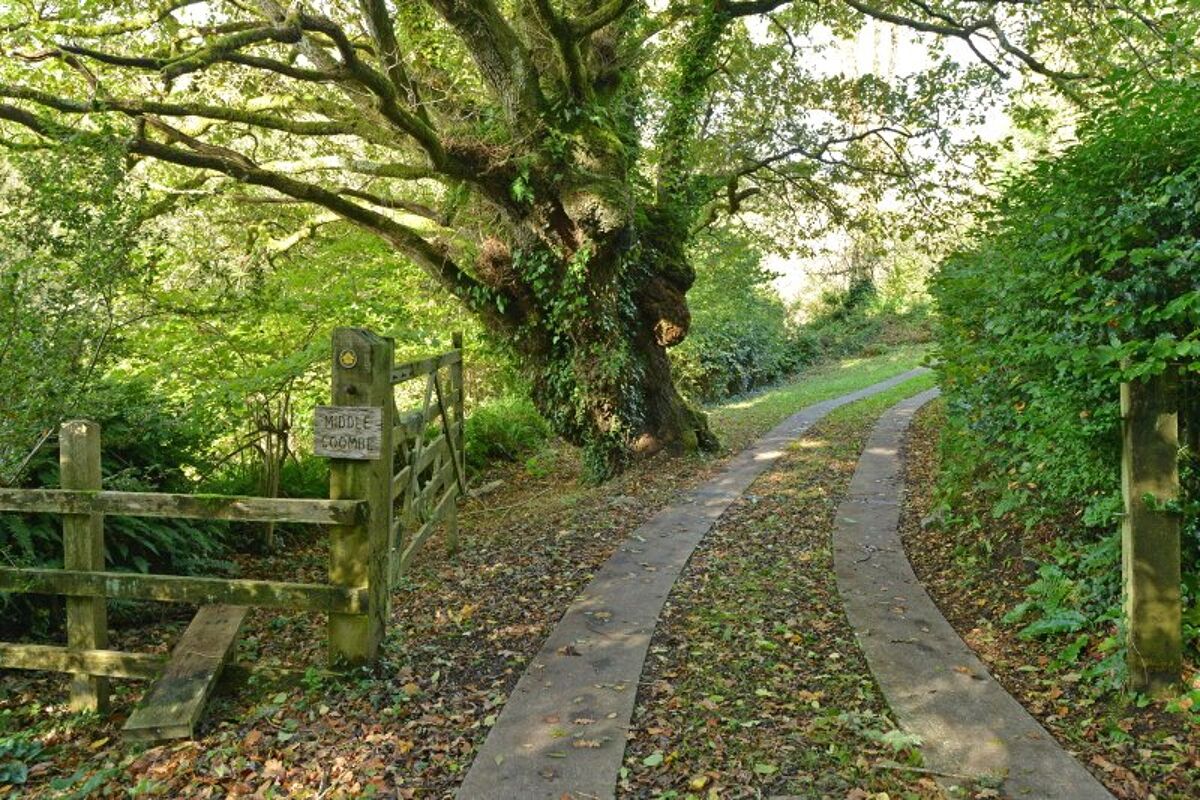 house for sale in Mapstone Hill, Lustleigh, Newton Abbot, Devon, TQ13