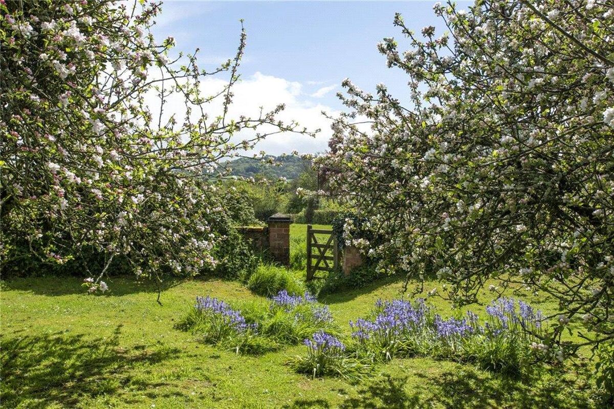 house for sale in Ford Street, Wellington, Somerset, TA21 EXE180102 Knight Frank