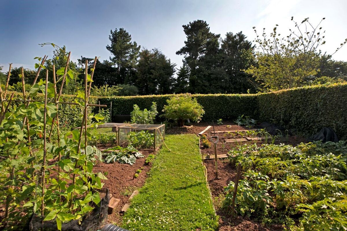 house for sale in Kenn, Exeter, Devon, EX6 EXE180341 Knight Frank