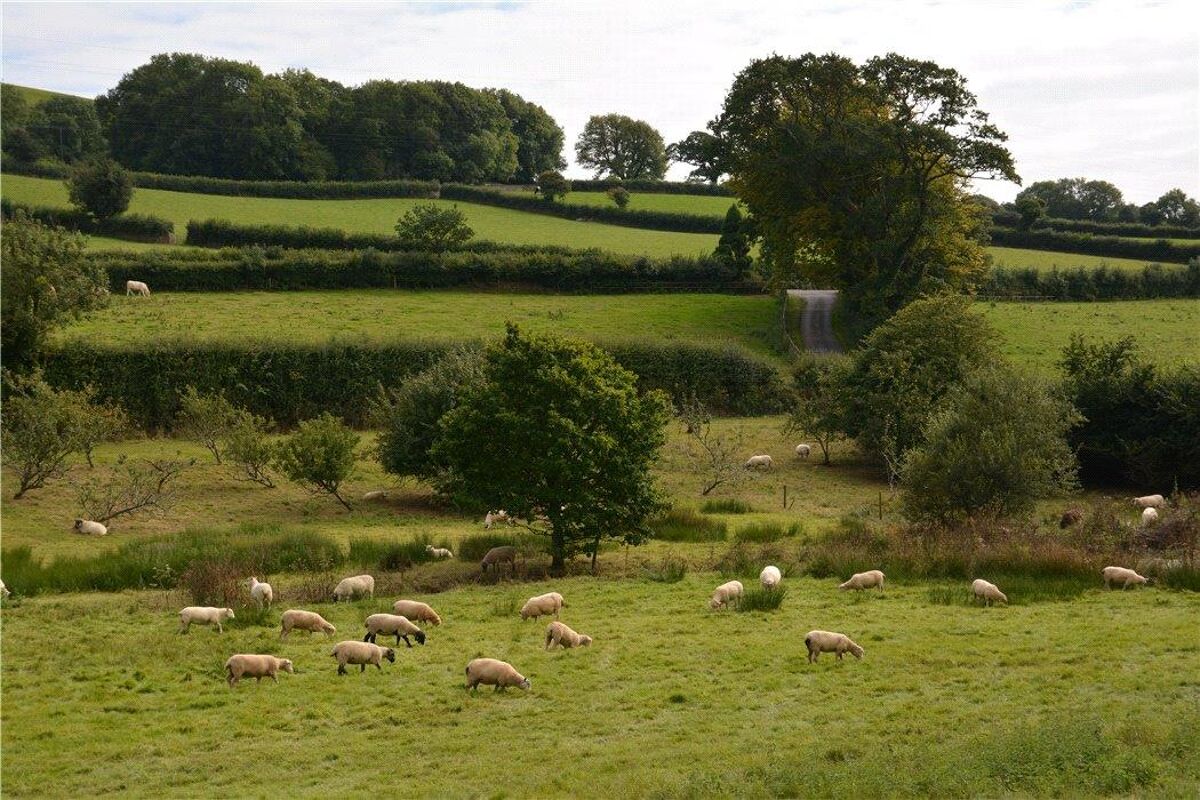 house for sale in Ugborough, Ivybridge, PL21 EXE190311 Knight Frank