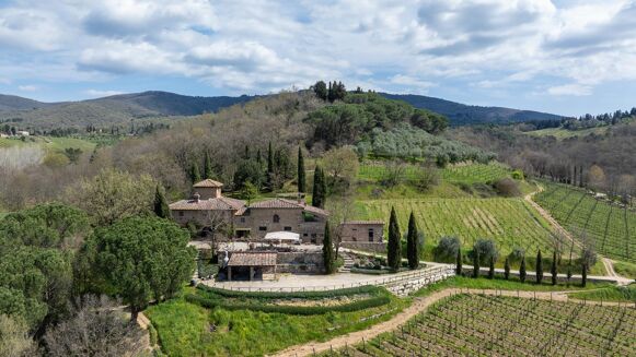 Picture of Vineyard for sale.