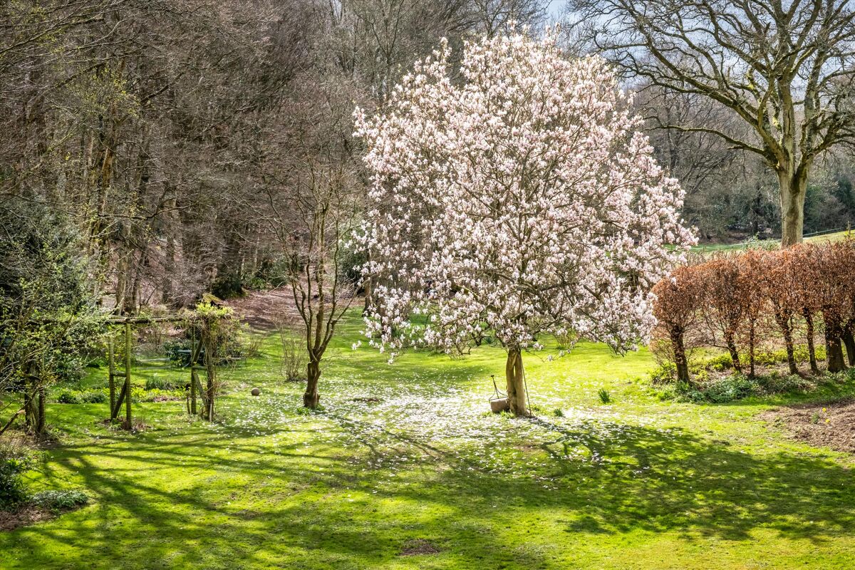 house for sale in Hound House Road, Shere, Guildford, Surrey, GU5