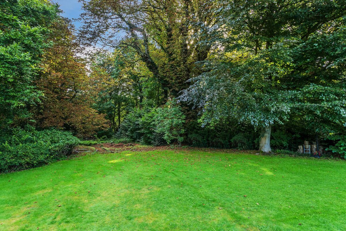 bungalow for sale in Tanglewood, Gosden Close, Tannery Lane, Gosden