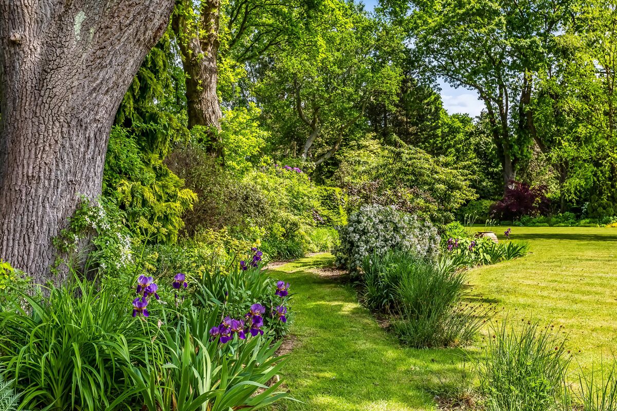 house for sale in Pyle Hill, Woking, Surrey, GU22. GLD012326777