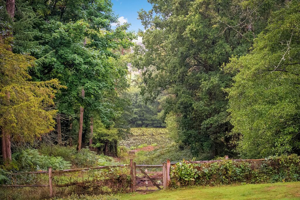 Image of Vann Lake Road, Ockley, Dorking, Surrey RH5