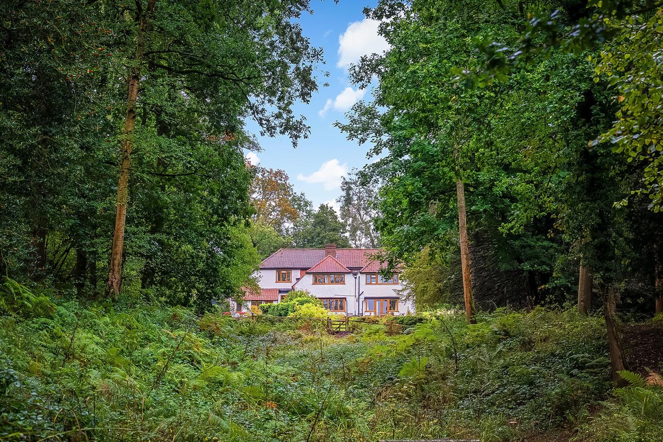 Image of Vann Lake Road, Ockley, Dorking, Surrey RH5.