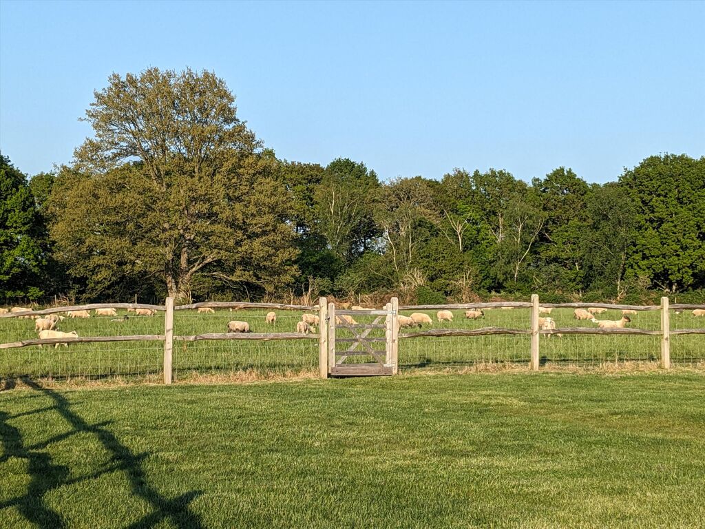 Image of Knowle Lane, Cranleigh, Surrey, GU6