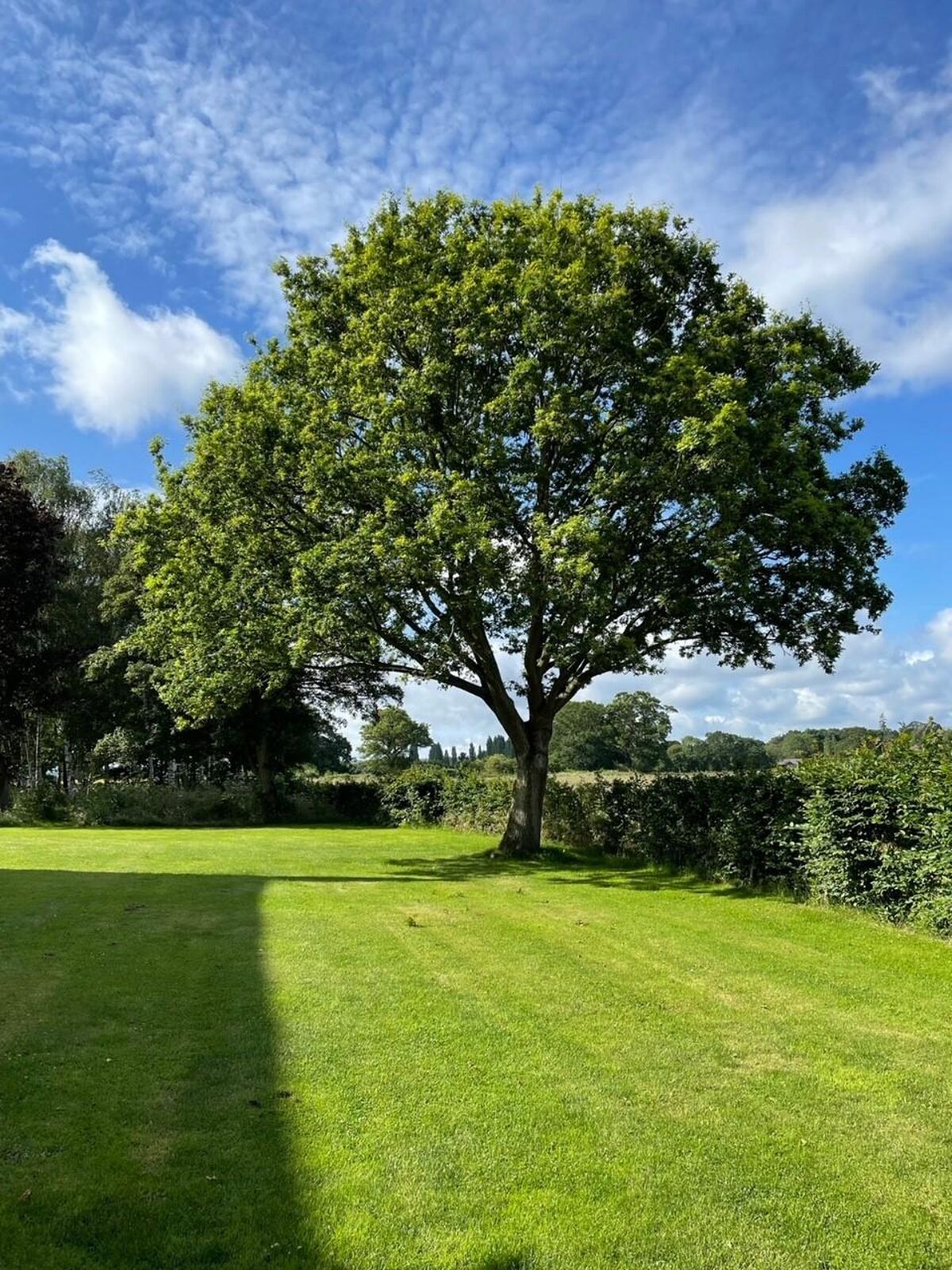 house for sale in Hazelhurst Farm, West Clandon, Surrey, GU23