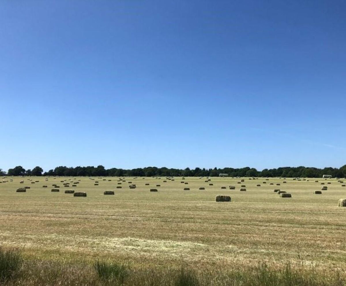 house for sale in Hazelhurst Farm, West Clandon, Surrey, GU23 GLD110194 Knight Frank