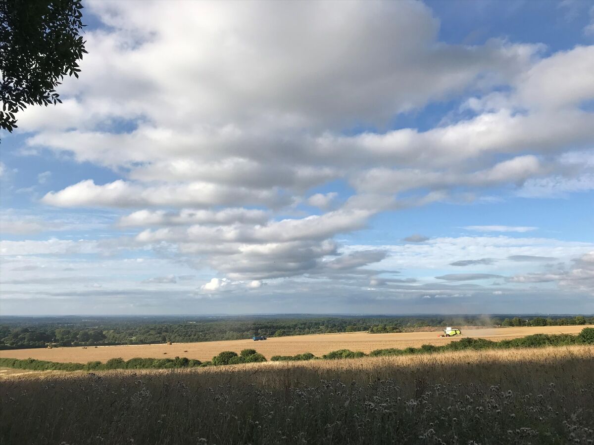 house for sale in West Clandon, Guildford, Surrey, GU4 GLD120097