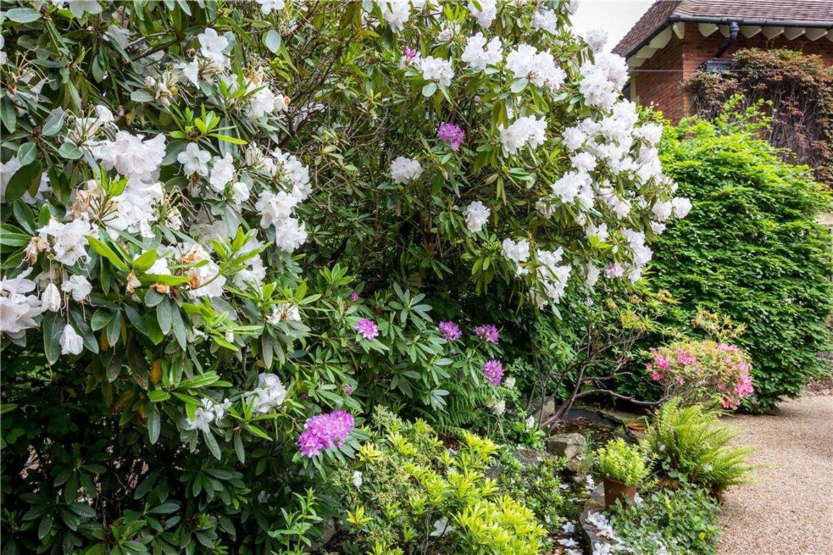 house for sale in Bagshot Road, Worplesdon Hill, Woking, Surrey, GU22