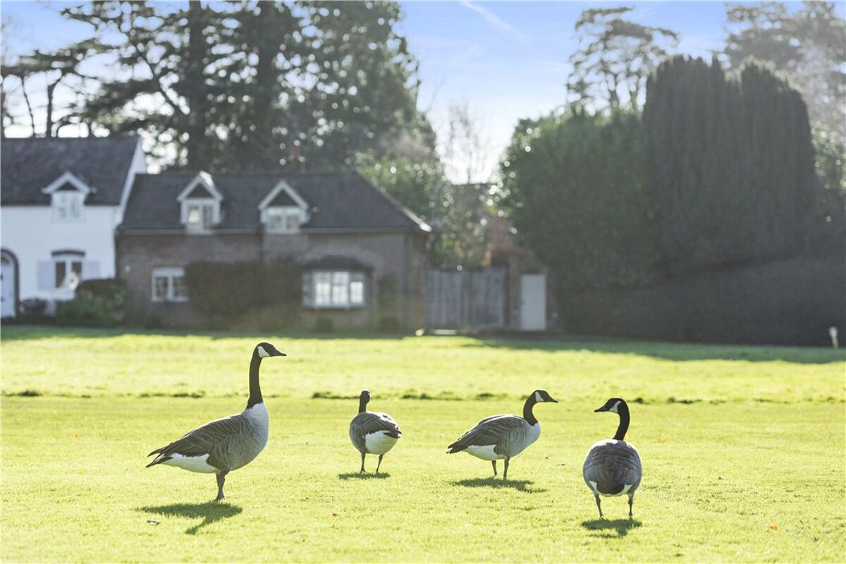 house for sale in The Common, Shalford, Guildford, Surrey, GU4