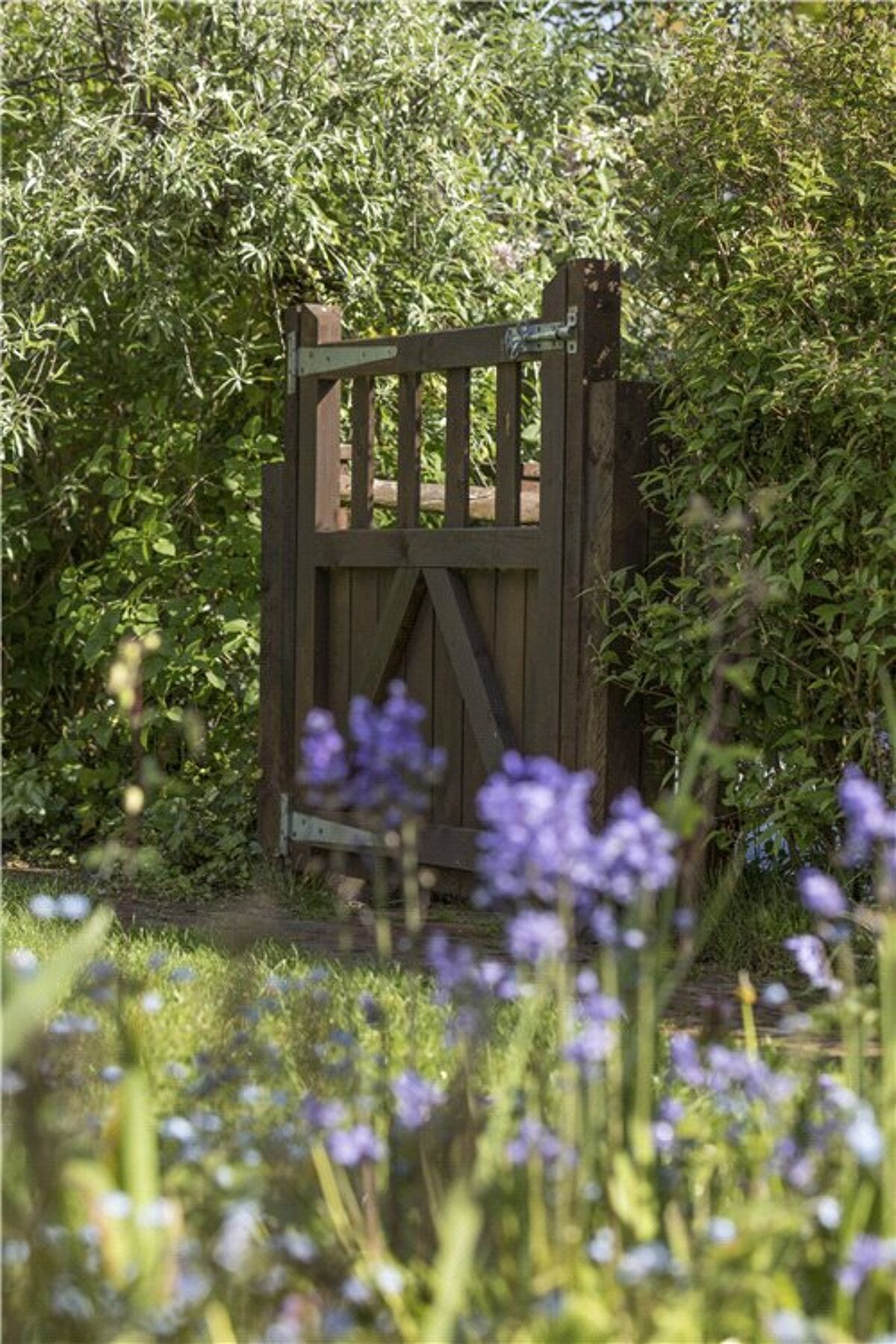 house for sale in Lords Hill Common, Shamley Green, Guildford, Surrey