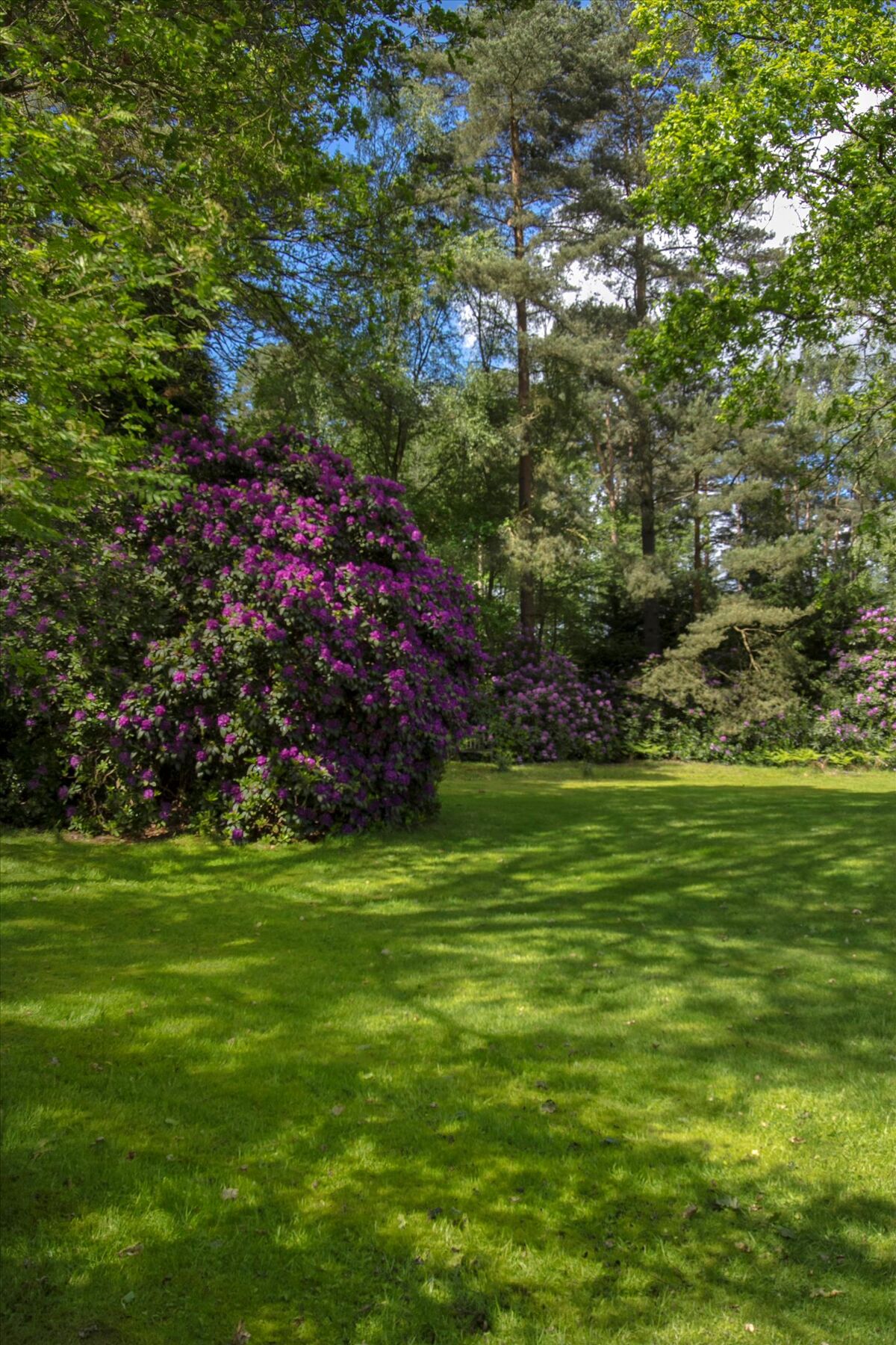 house for sale in Blackhorse Road, Worplesdon Hill, Woking, Surrey