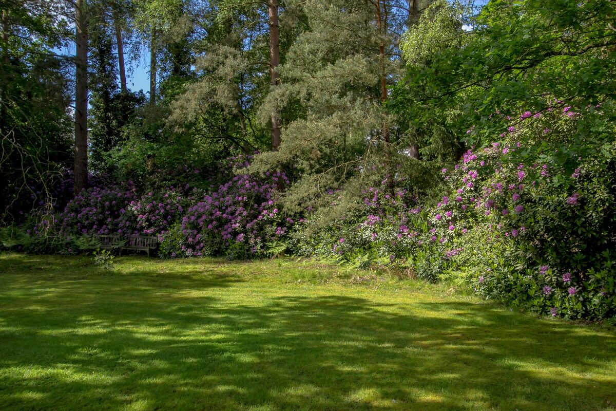 house for sale in Blackhorse Road, Worplesdon Hill, Woking, Surrey