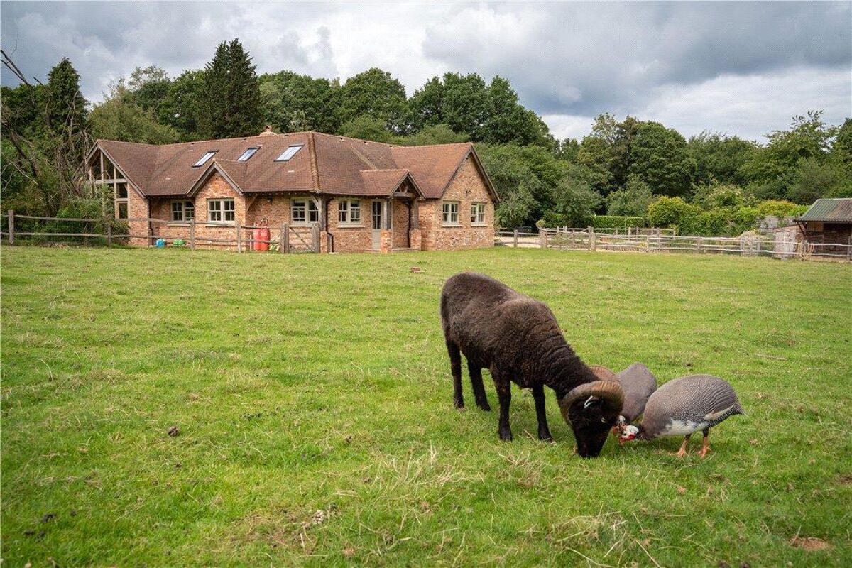 house for sale in August Lane, Albury, Guildford, Surrey, GU5 GLD190048 Knight Frank