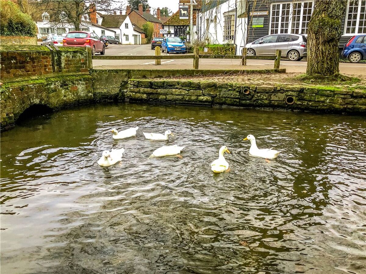 Property for sale Forrest Place, Shere, Guildford, Surrey, GU5