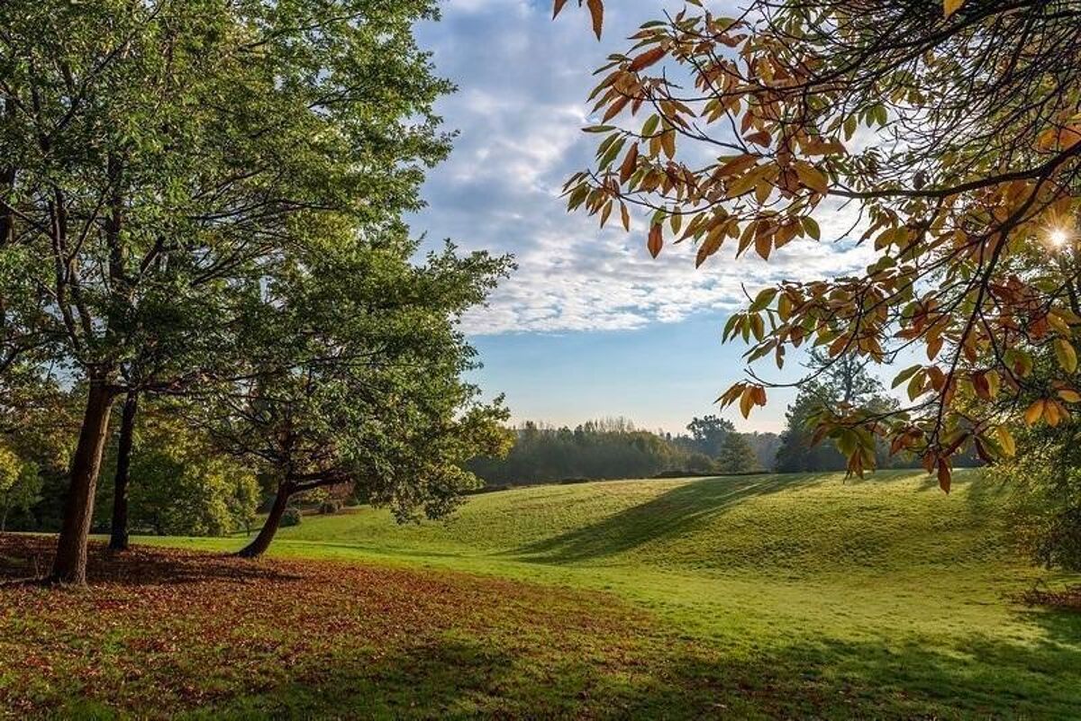 house for sale in Scholars Row, Sunningdale Park, Sunningdale, SL5