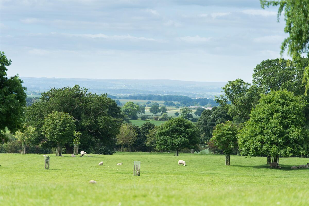 house for sale in Crosby, Northallerton, North Yorkshire, DL6