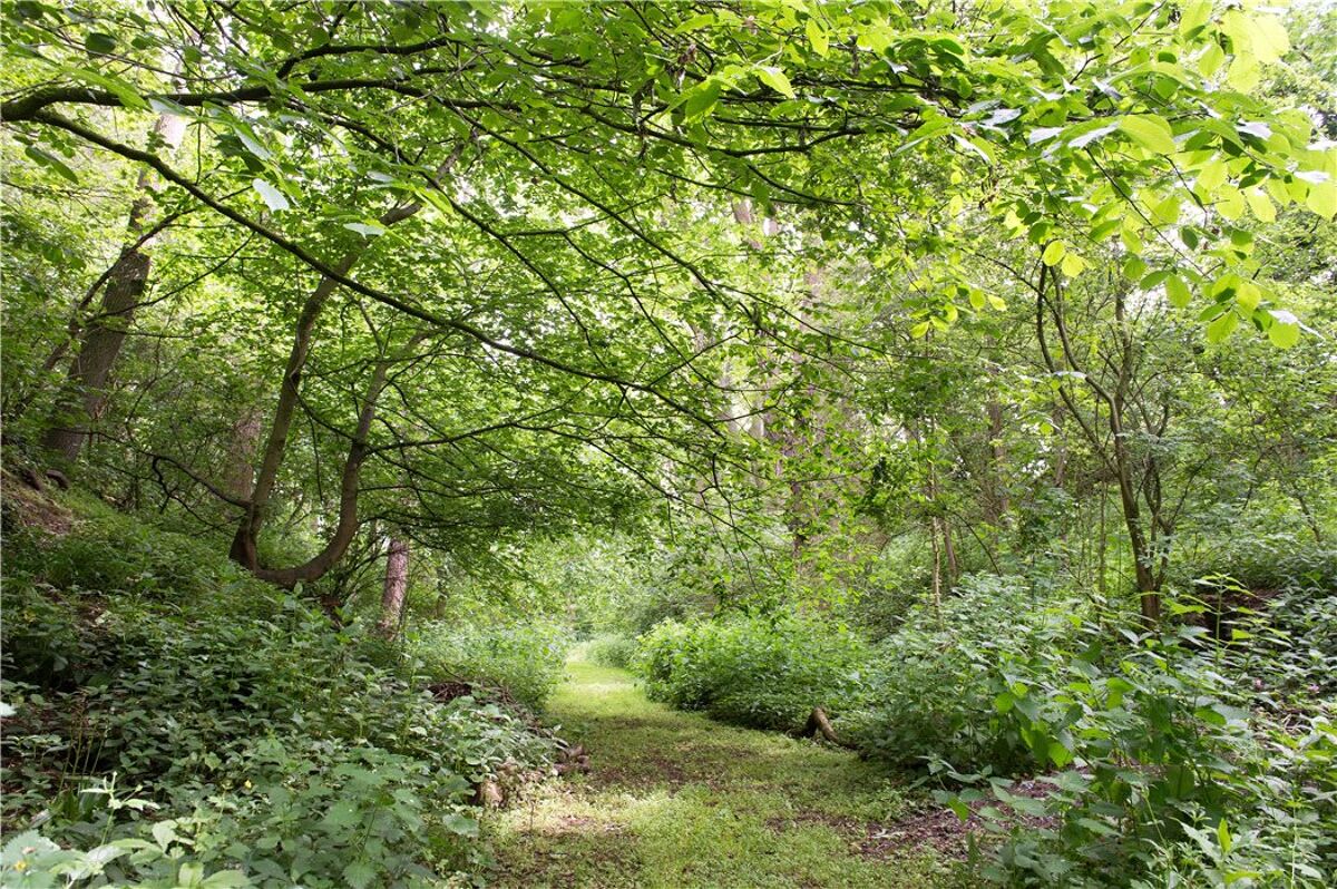 house for sale in Monkton, Harrogate, North Yorkshire, HG3