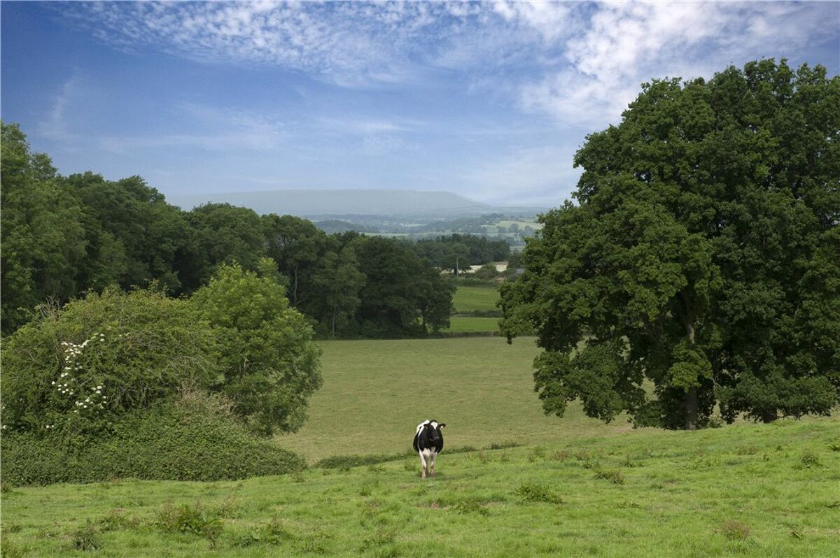 house for sale in Dippersmoor Manor, Kilpeck, Hereford, Herefordshire