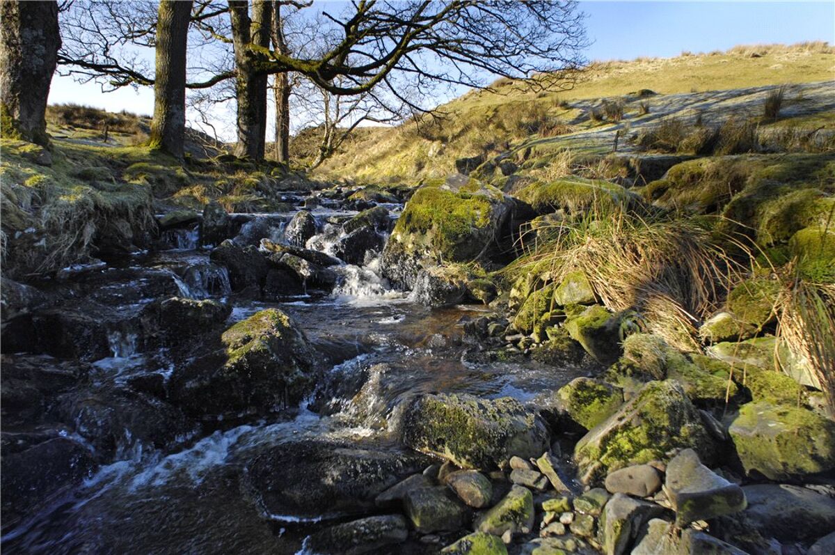 house for sale in Trefeglwys, Caersws, Powys, SY17 HFD150059 Knight