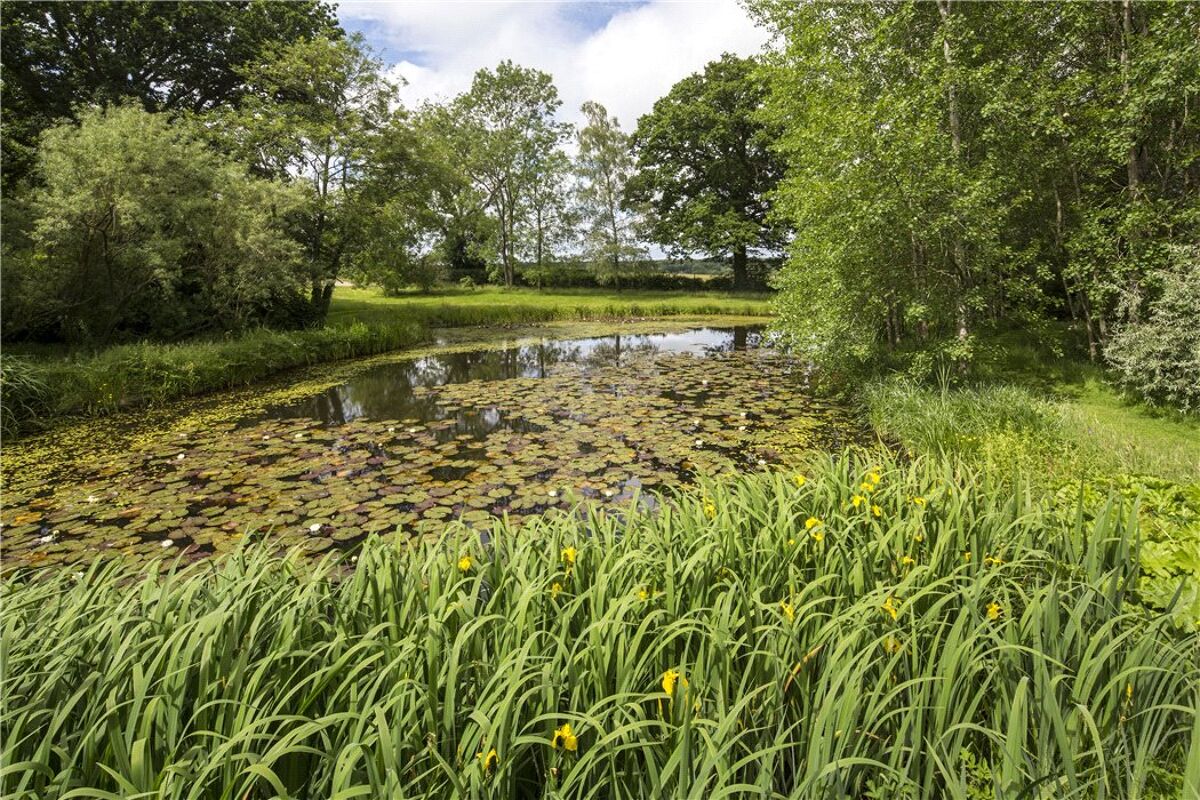 house for sale in Ashford Hill Road, Headley, Thatcham, Hampshire, RG19