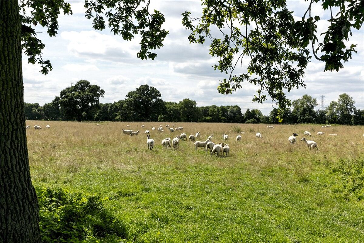 house for sale in Stanton Farm, Stanton St. Bernard, Marlborough