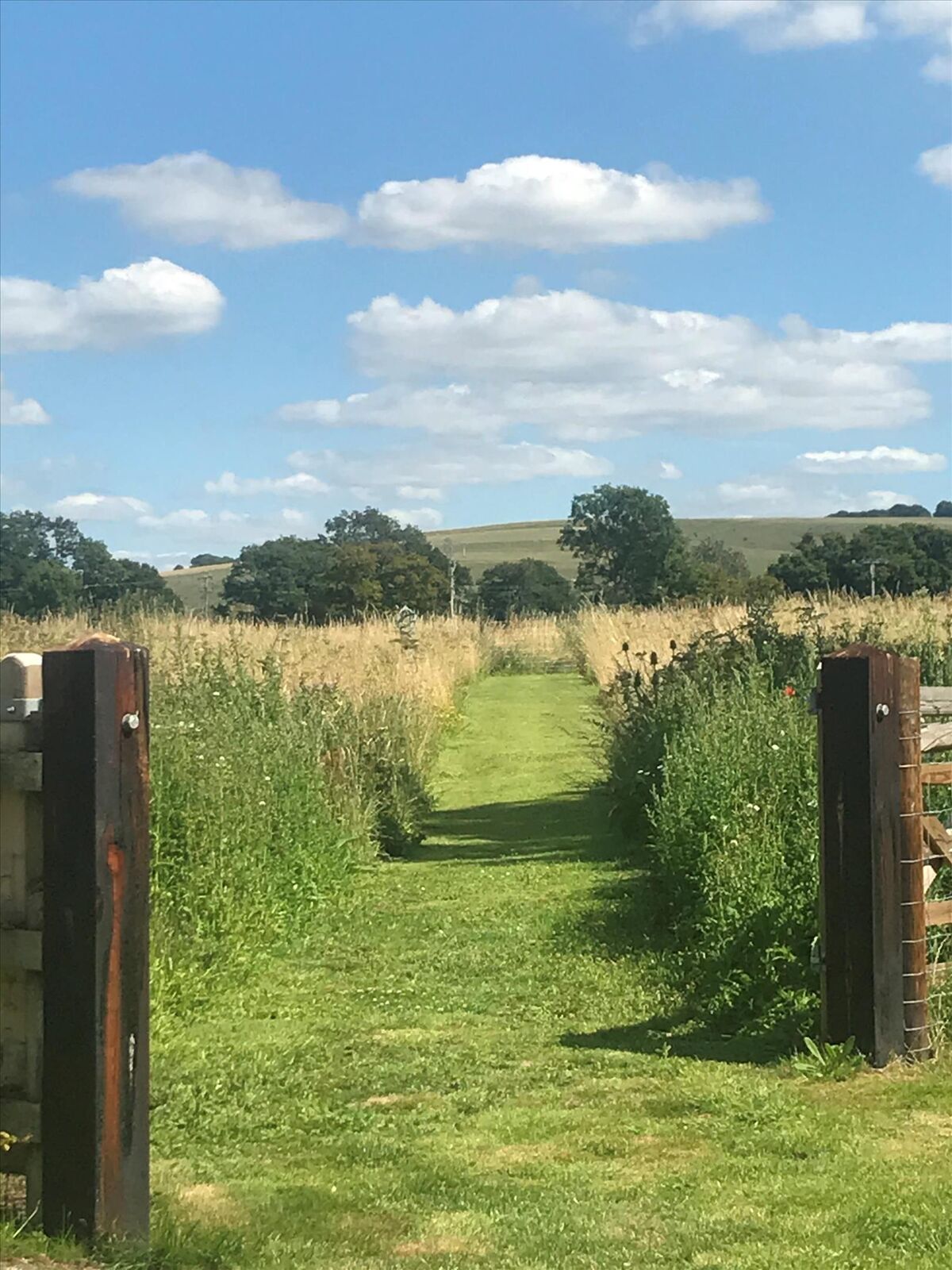 house for sale in Southcott, Pewsey, Wiltshire, SN9 HNQ012019114