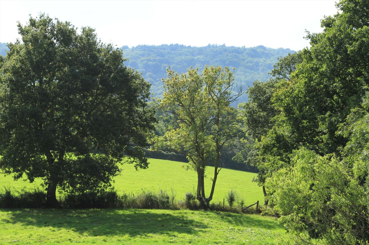 house for sale in Graffham, Petworth, West Sussex, GU28 HSM012009055