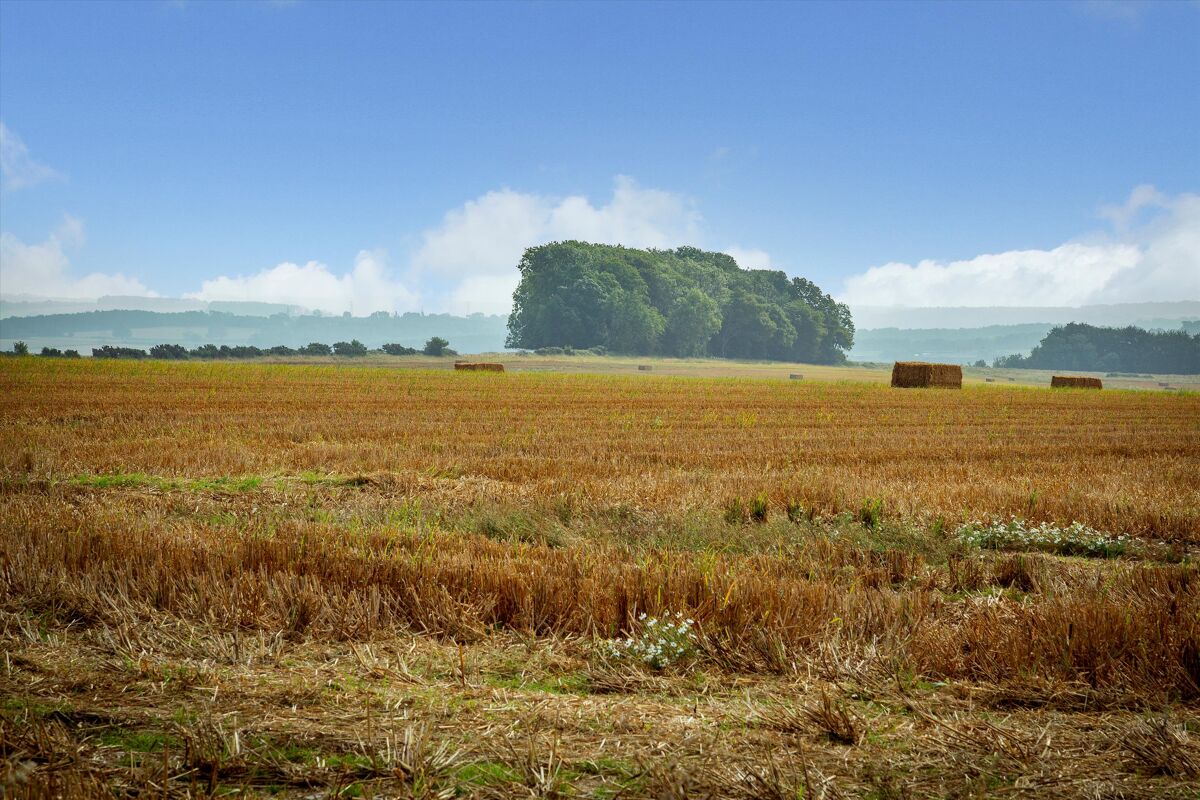 house for sale in East Marden, Chichester, West Sussex, PO18