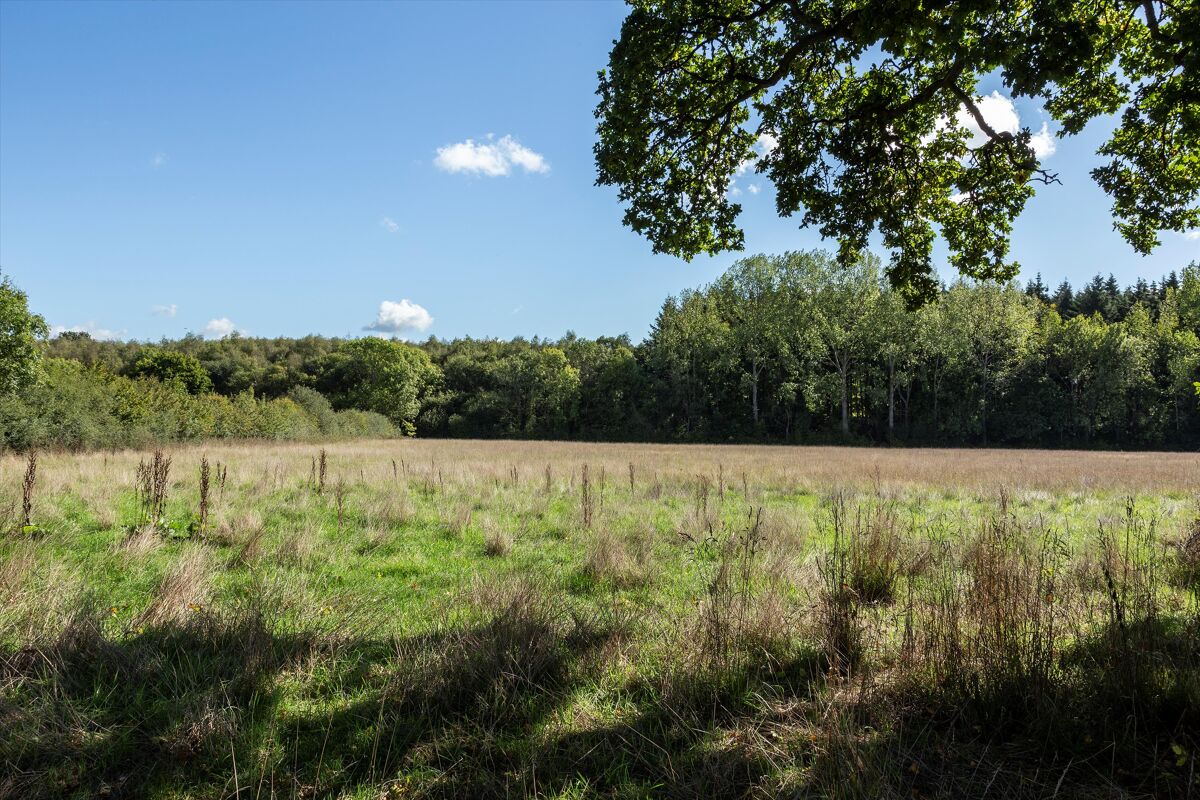 house for sale in Shillinglee Road, Chiddingfold, Surrey, GU8