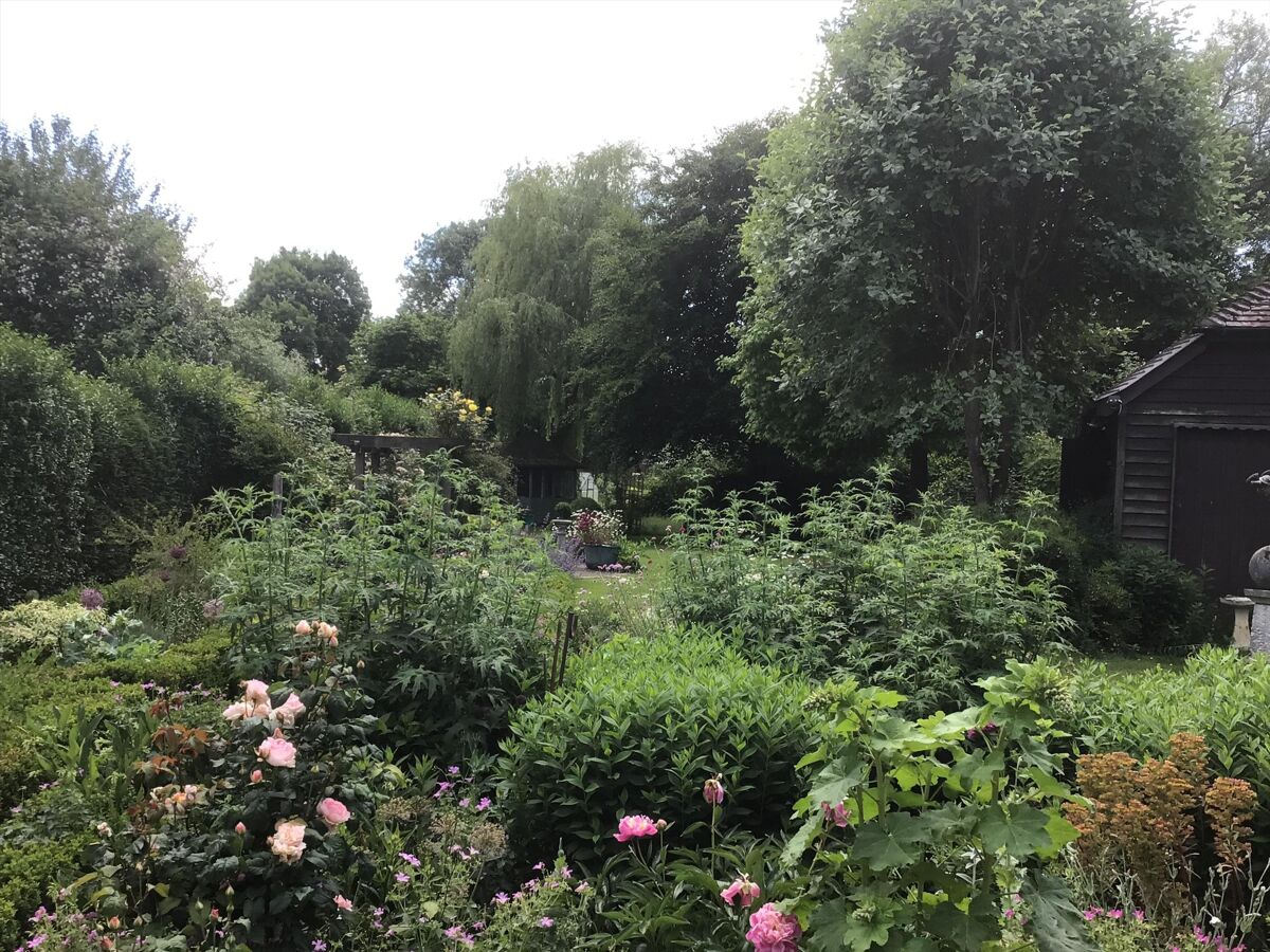 house for sale in Petworth Road, Chiddingfold, Godalming, Surrey, GU8 HSM012231353 Knight Frank