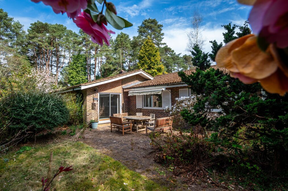 Image of Wheatsheaf Enclosure, Liphook, West Sussex, GU30