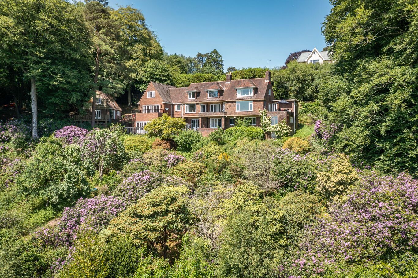 Image of Marley Common, Haslemere, Surrey GU27