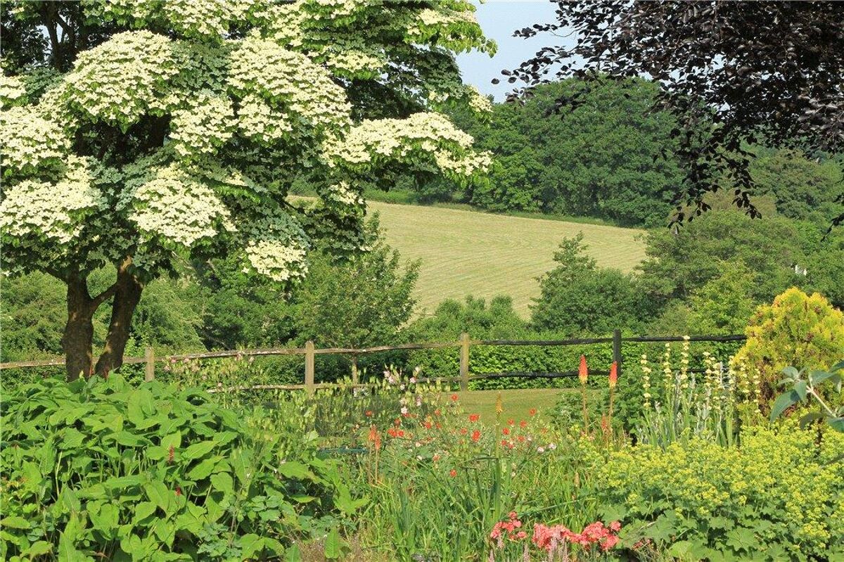 house for sale in Frensham Lane, Headley, Hampshire, GU35 HSM120149