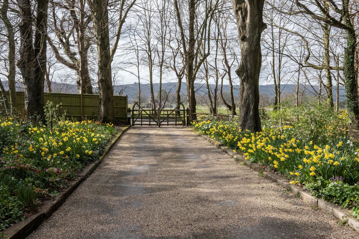 house for sale in Burton Rough, Burton Park Road, Petworth, West Sussex