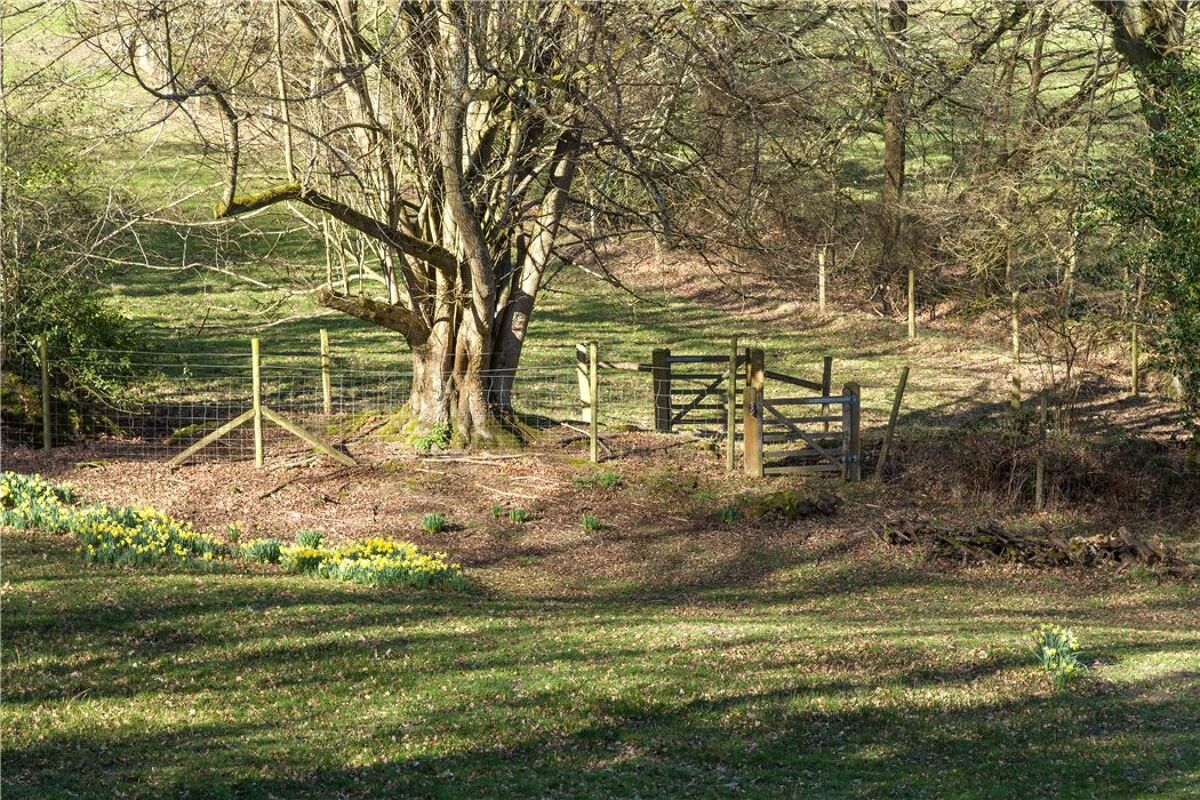 house for sale in Paddocks House, Petworth Road, Haslemere, Surrey