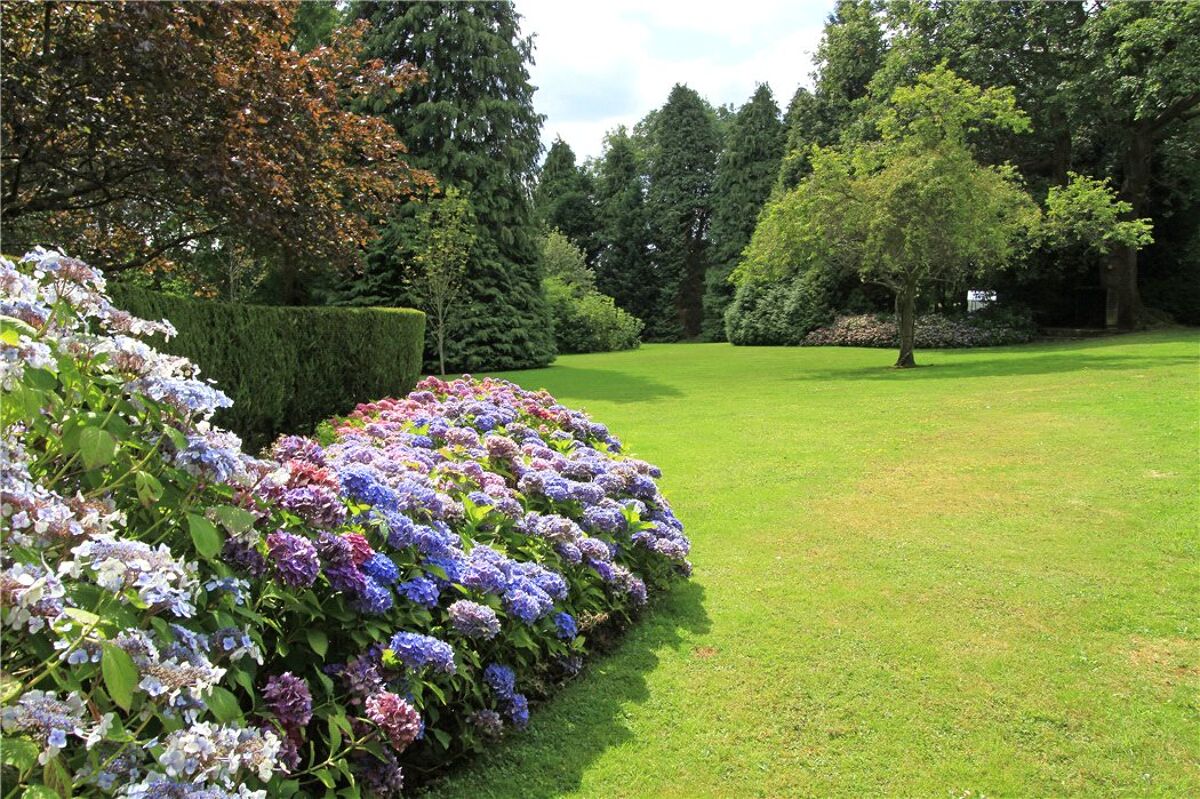 house for sale in Hogs Hill Farm, Hogs Hill, Fernhurst, Haslemere, West