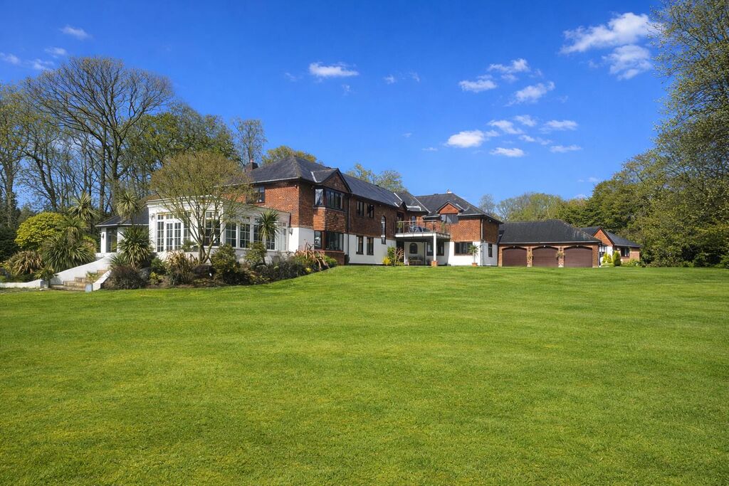 Image of Upper Durford Wood, Petersfield, West Sussex, GU31.